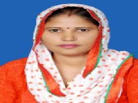women become sarpanch without election in nindana